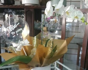 20- Orquídea Branca no cachepô branco 